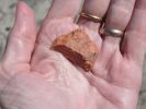 PICTURES/Bisti Badlands in De-Na-Zin Wilderness/t_Giant Pottery Shard.jpg